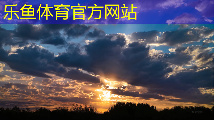 乐鱼体育,能折叠的体操垫