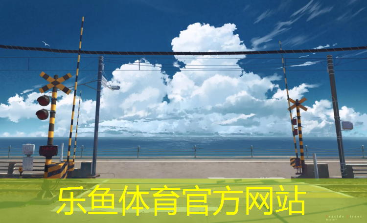 乐鱼体育,如何固定网球网