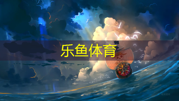 乐鱼体育,2016体操垫