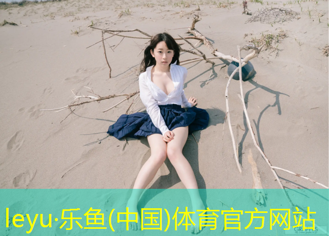 leyu·乐鱼(中国)体育官方网站,阳泉塑胶跑道检测