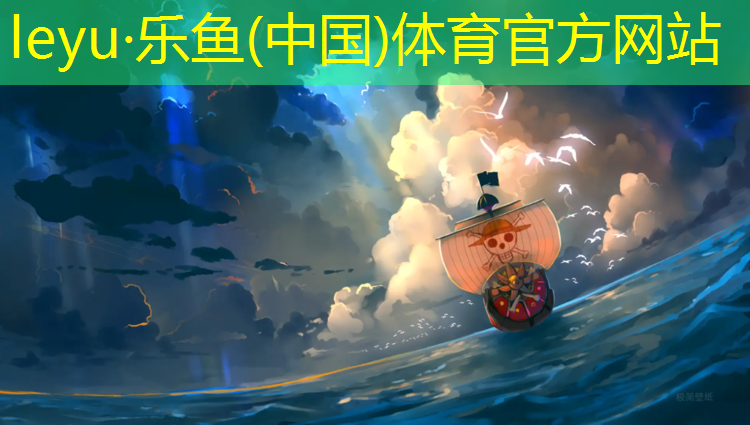 2016体操垫